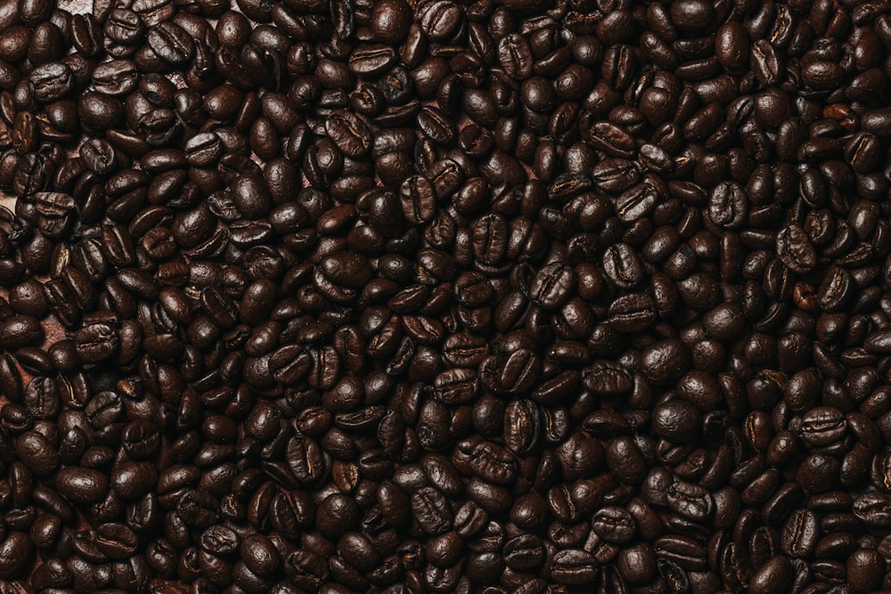 coffee beans on white ceramic plate