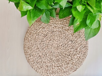 A round woven placemat with a natural, straw-like texture is positioned on a light wooden surface. Lush green leaves from a potted plant cascade over the top of the placemat, providing a vibrant contrast to the muted tones of the mat and surface.