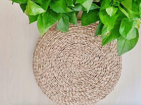 A round woven placemat with a natural, straw-like texture is positioned on a light wooden surface. Lush green leaves from a potted plant cascade over the top of the placemat, providing a vibrant contrast to the muted tones of the mat and surface.
