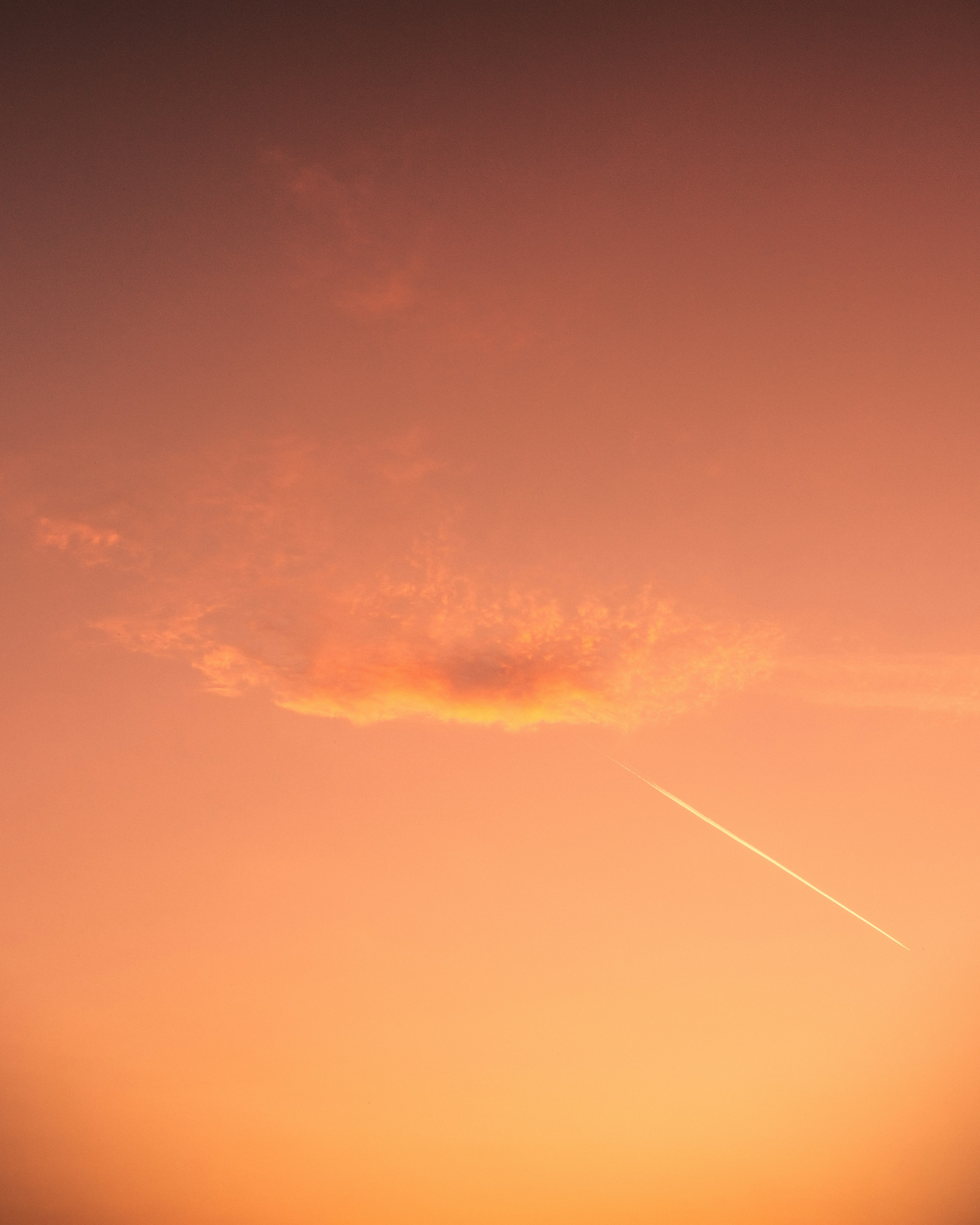 Photo by davidguliciuc