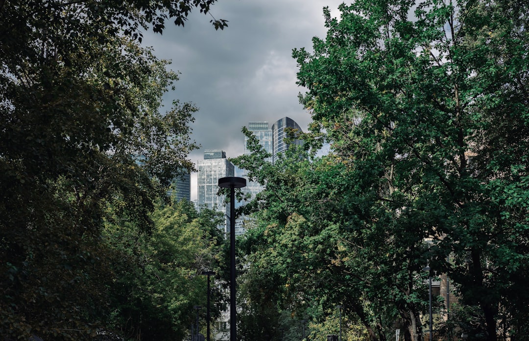 green trees under cloudy sky during daytime