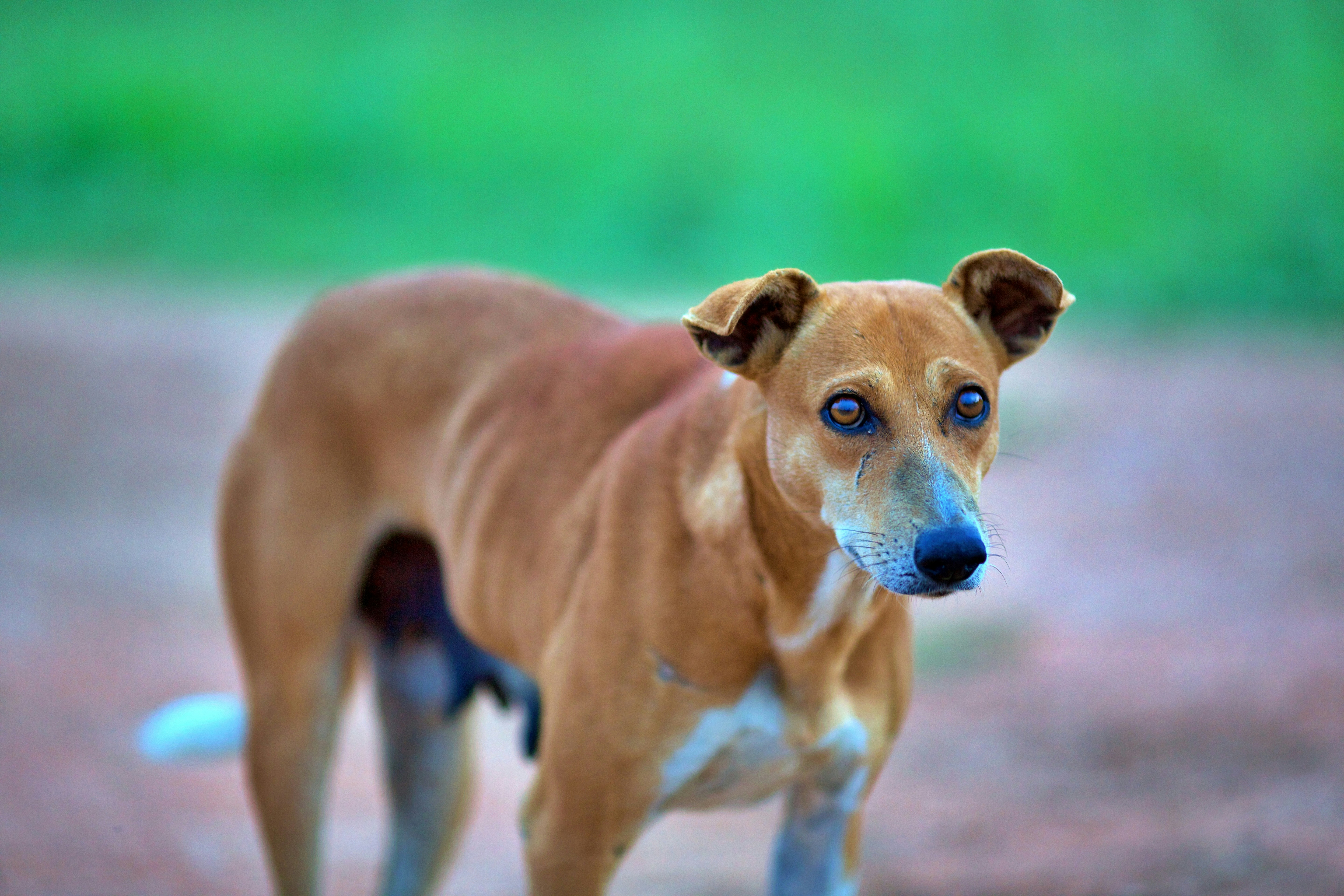 Photo by abinaivarma