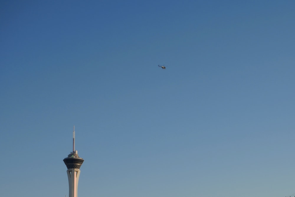 white bird flying over the building during daytime