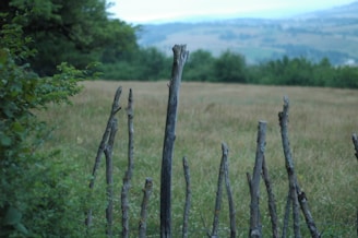 A farmer repairing a rustic wooden fence surrounded by green pastures.