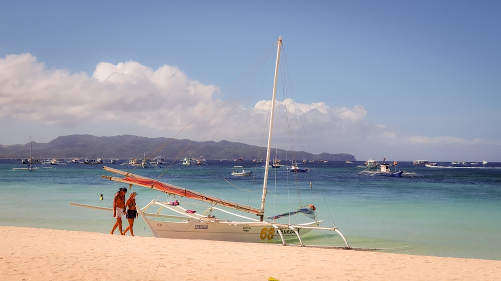 people on beach during daytime