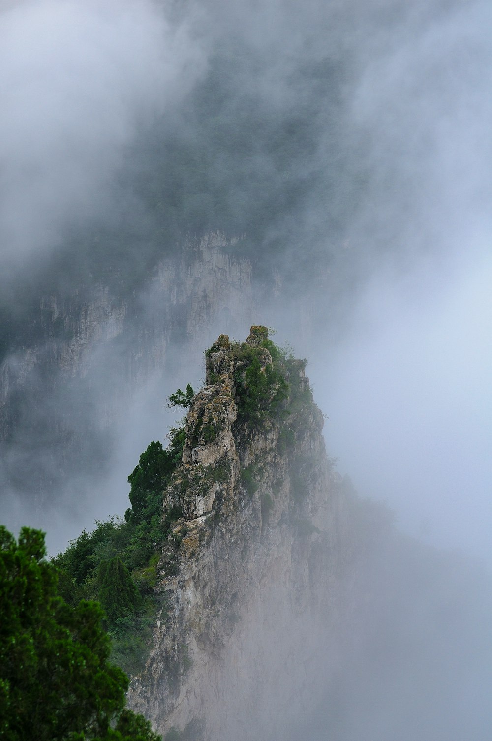 green trees on mountain under cloudy sky during daytime