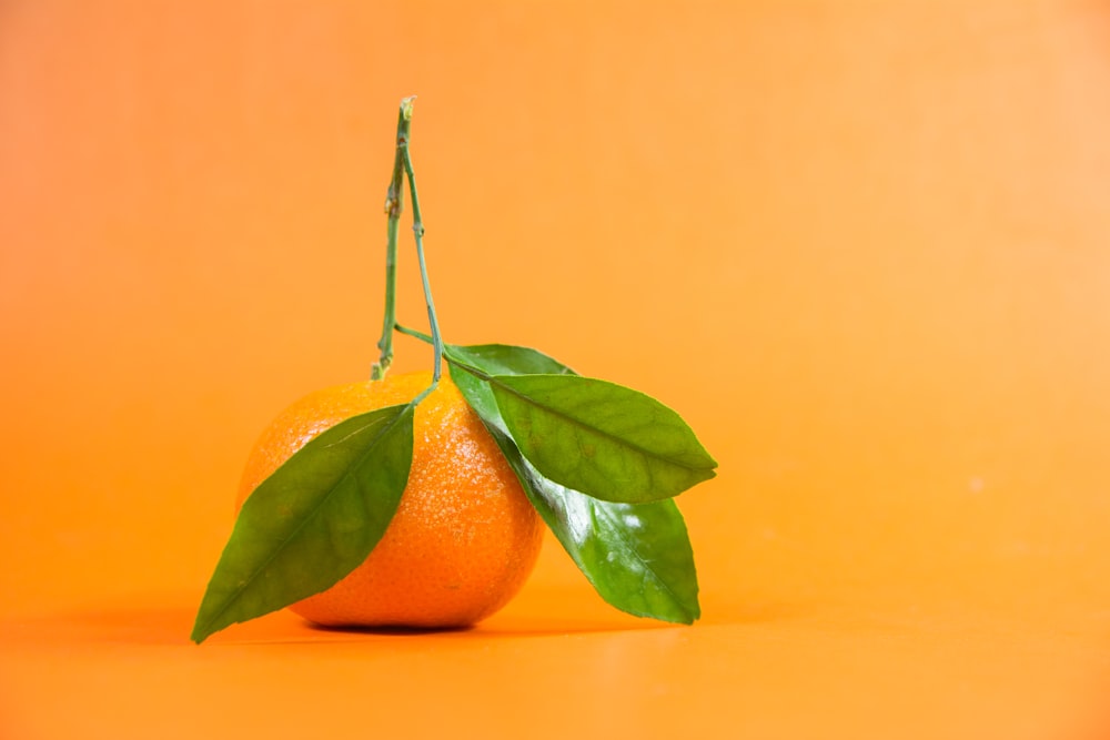 Fruit orange sur surface jaune