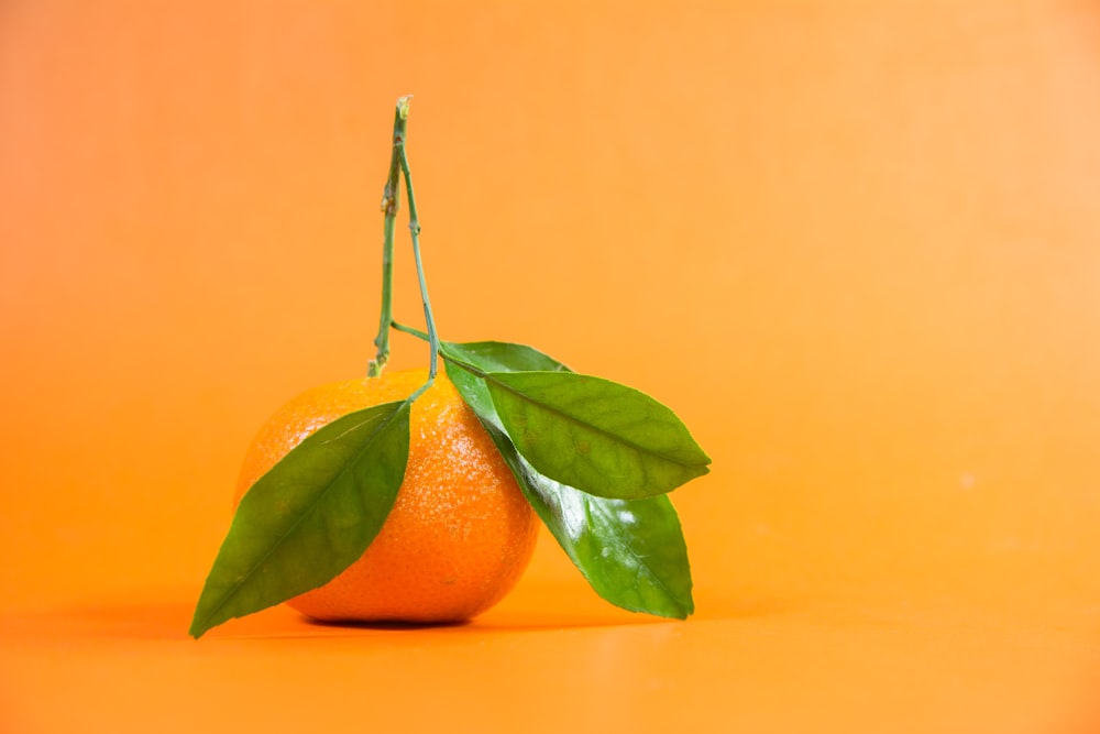 orange fruit on yellow surface