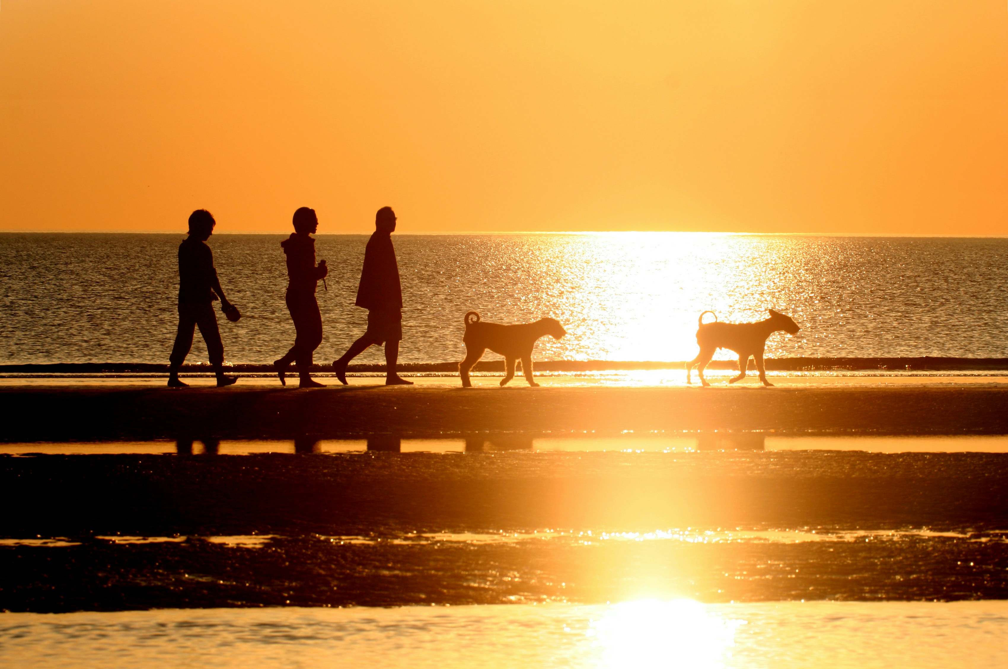 silhouette of people standing on dock with dog during sunset