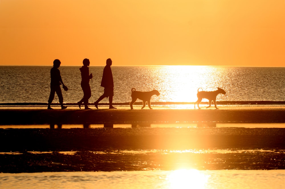 Silueta de personas de pie en el muelle con perro durante la puesta del sol