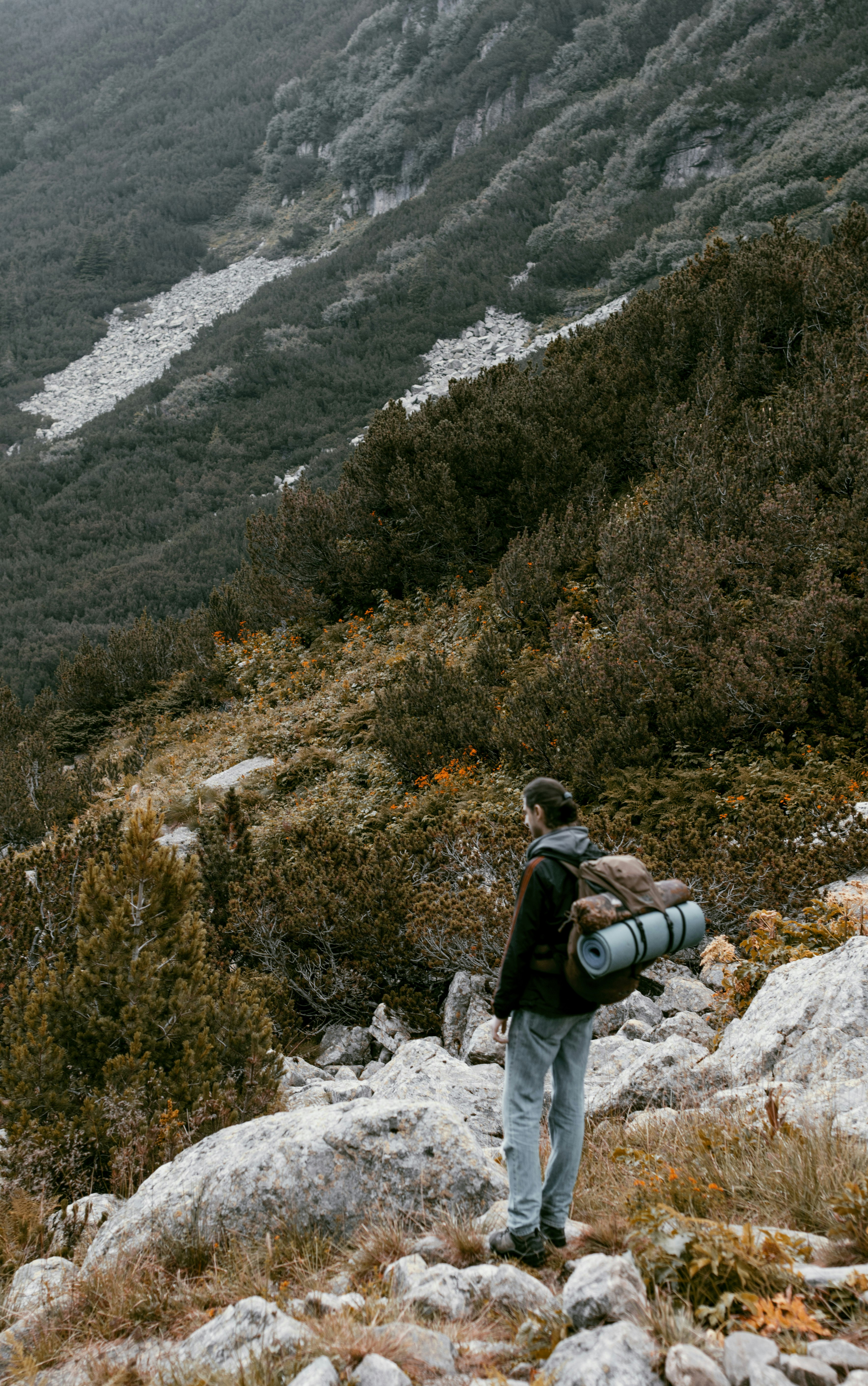 Photo by danielabeleva