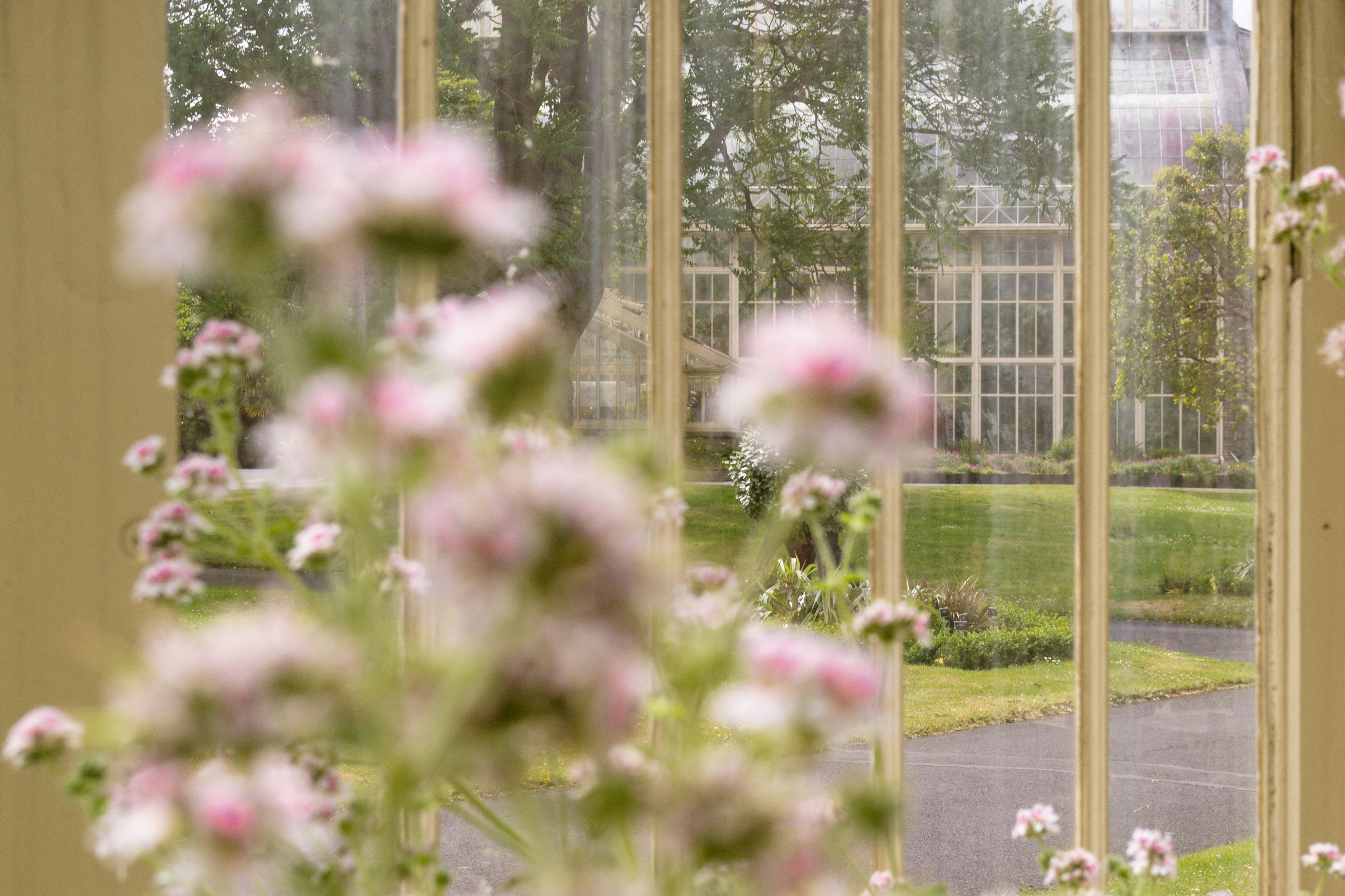 Photo by soff_garavano