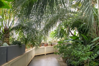 Lush green plants and palm leaves fill a conservatory-like space, with pots scattered along the floor and large planters. Sunlight filters through, creating a serene and natural atmosphere.