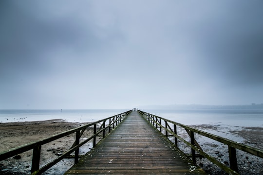 brown wooden dock on sea under blue sky during daytime in Flensburg Germany