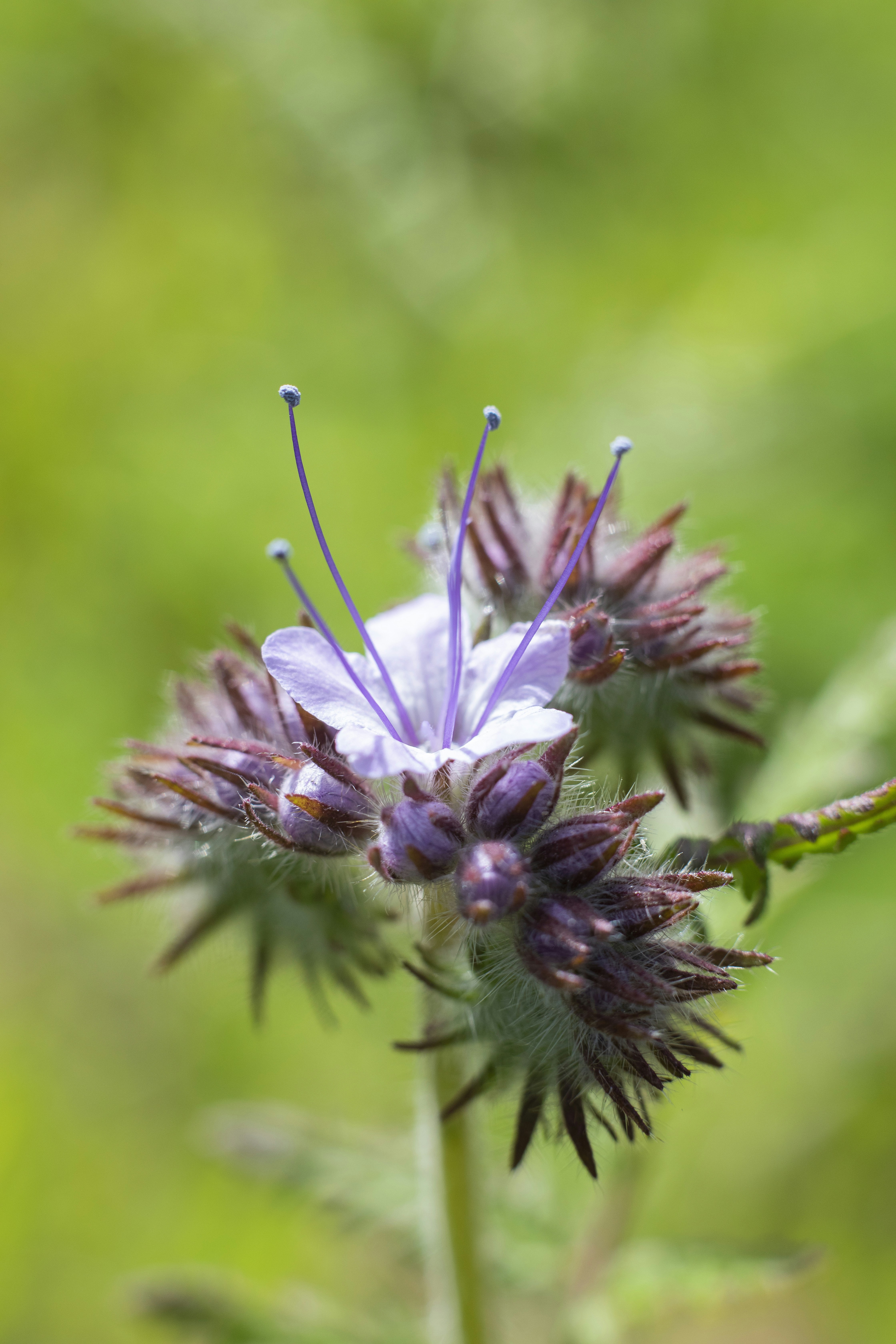 Photo by michaelheld