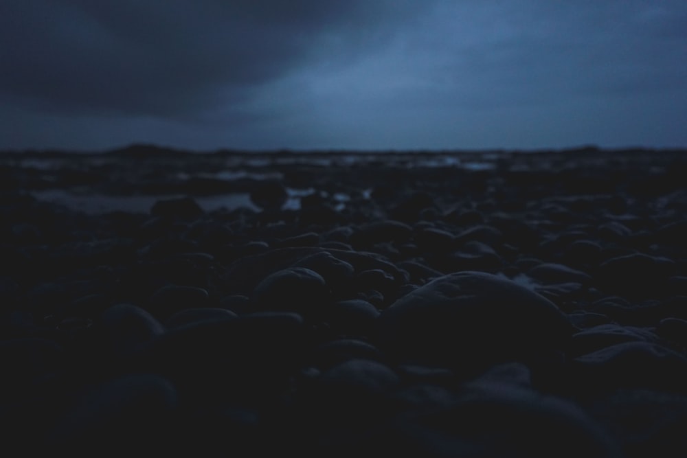 black rocks on the beach during night time