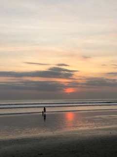 A tranquil beach scene with a pet-friendly travel companion enjoying the sun.