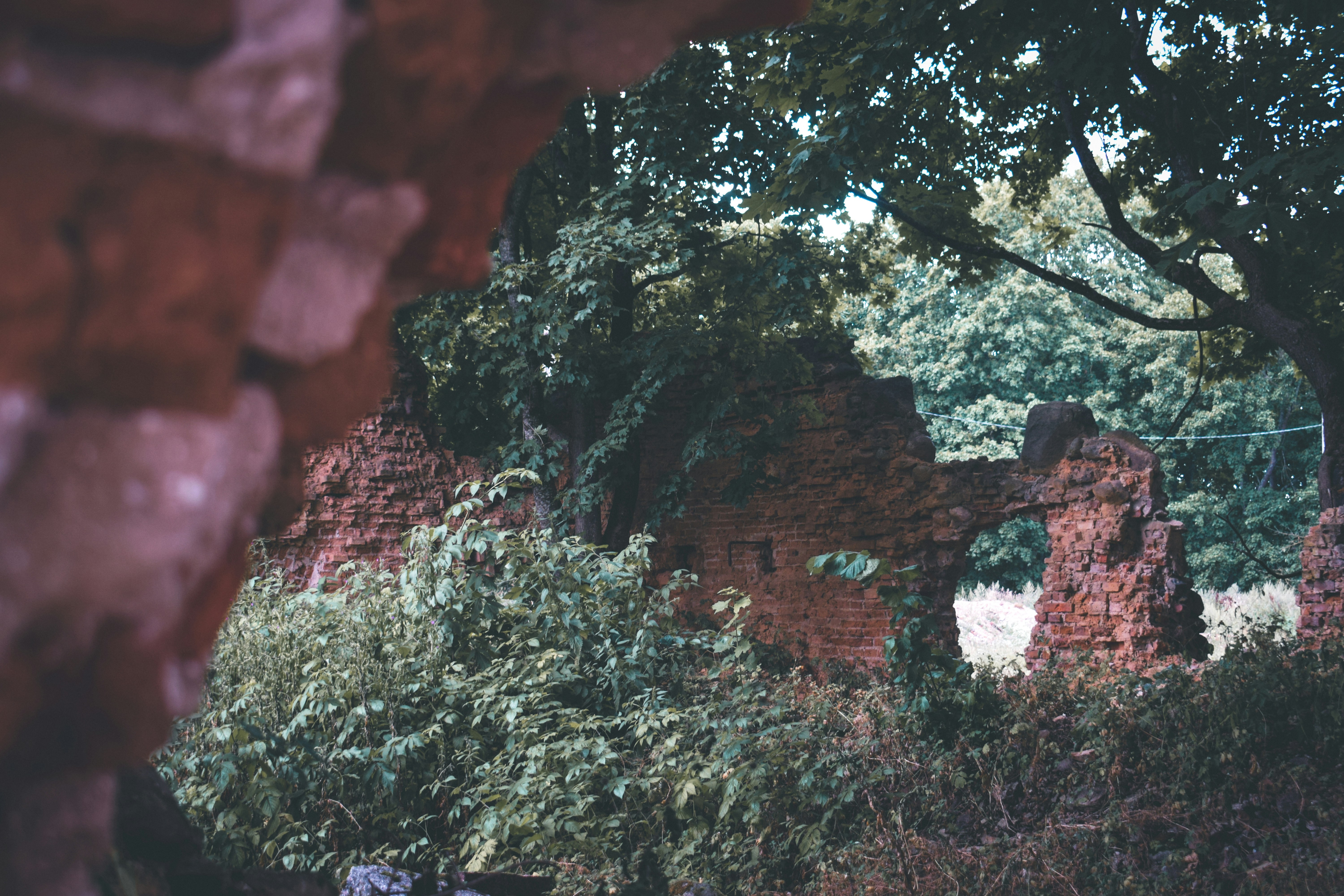 Photo by darya_tryfanava