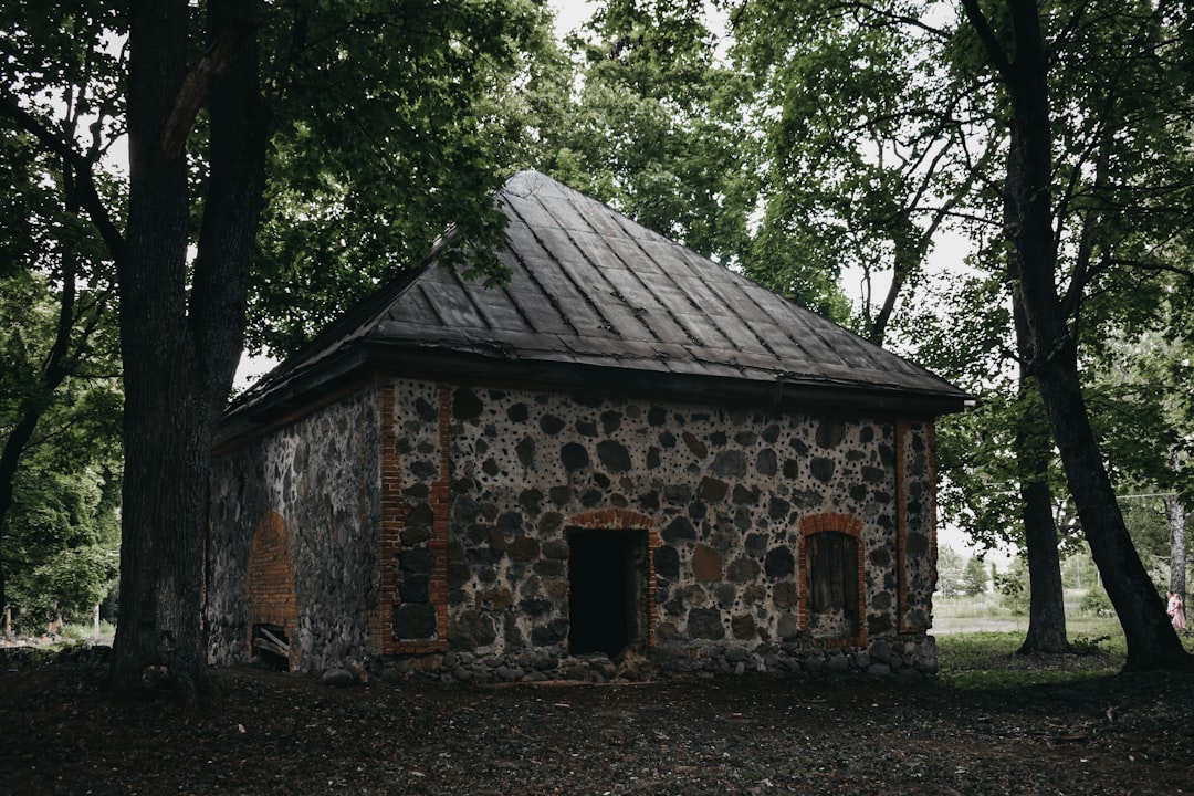 brown and gray wooden house near green trees during daytime