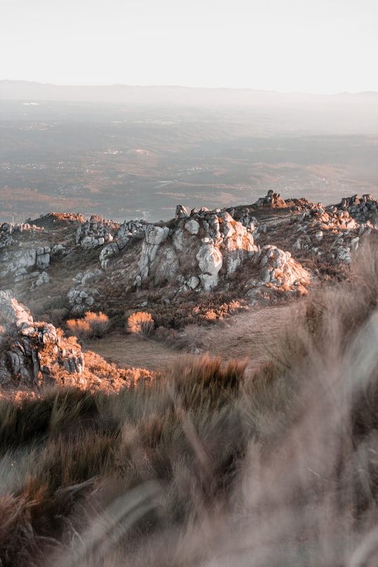photo of Caramulo Hill near Aveiro