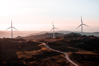 Wind turbines standing tall against a sunset-lit horizon on rolling hills.