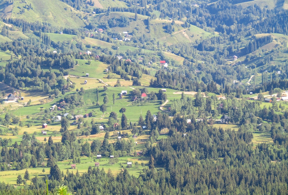 aerial view of green trees and mountains during daytime