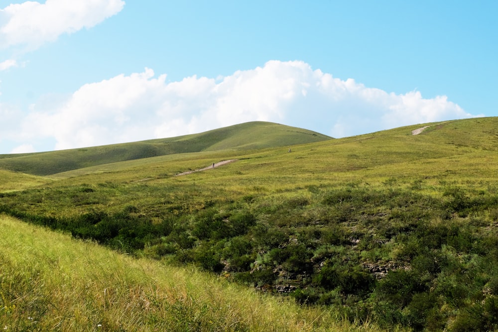 Campo de hierba verde bajo el cielo azul durante el día