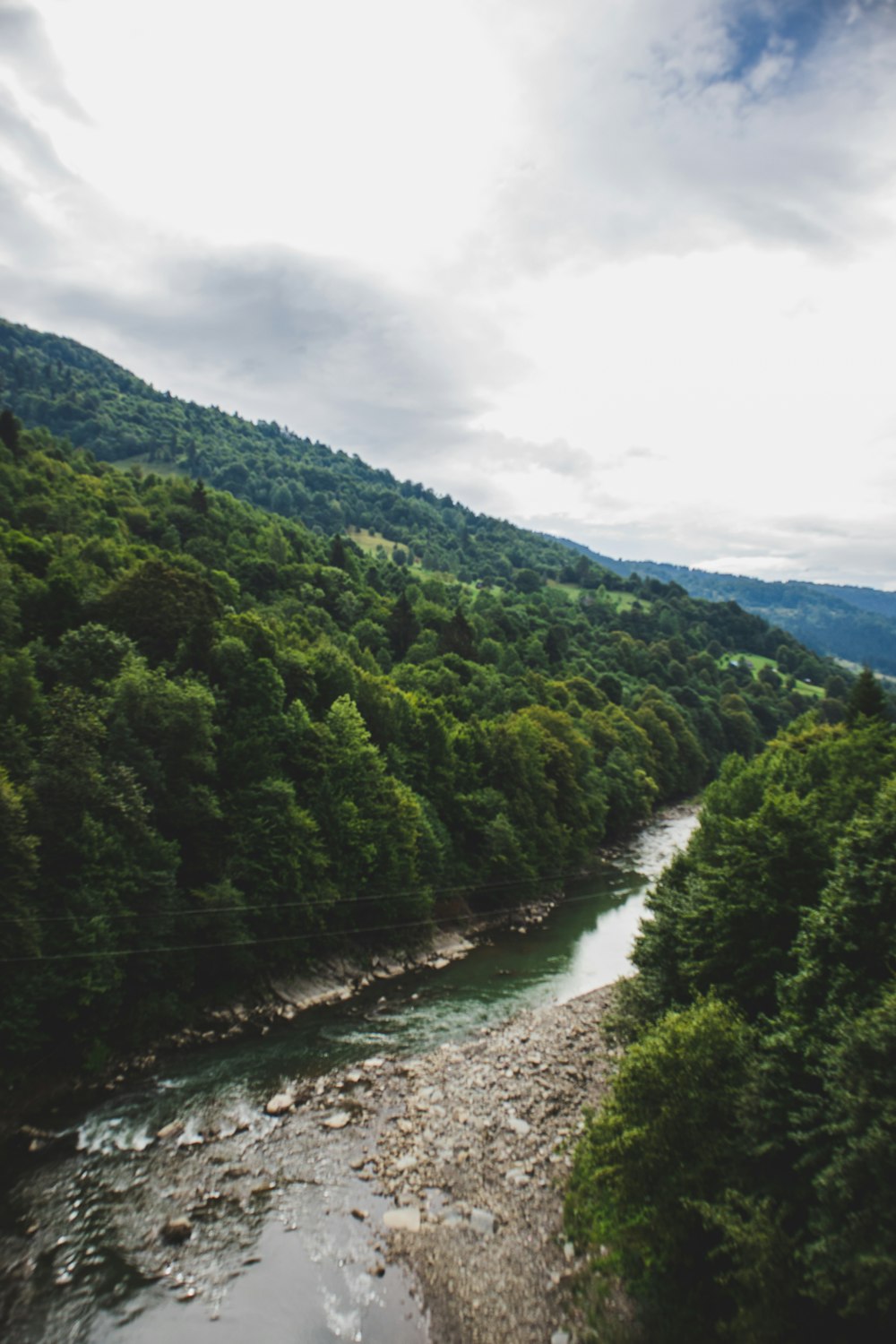 green trees near river under white clouds during daytime