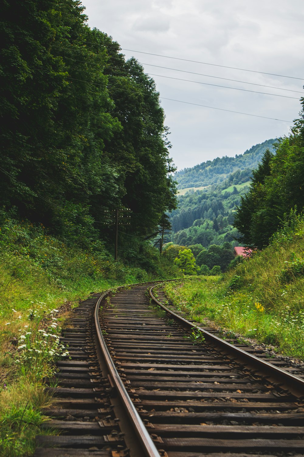 train rail near green trees during daytime