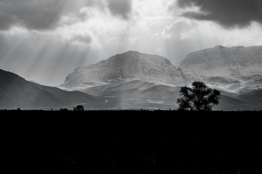 silhouette of trees near mountain under white clouds during daytime