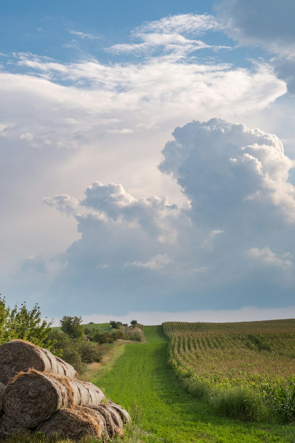 green grass field under white clouds during daytime