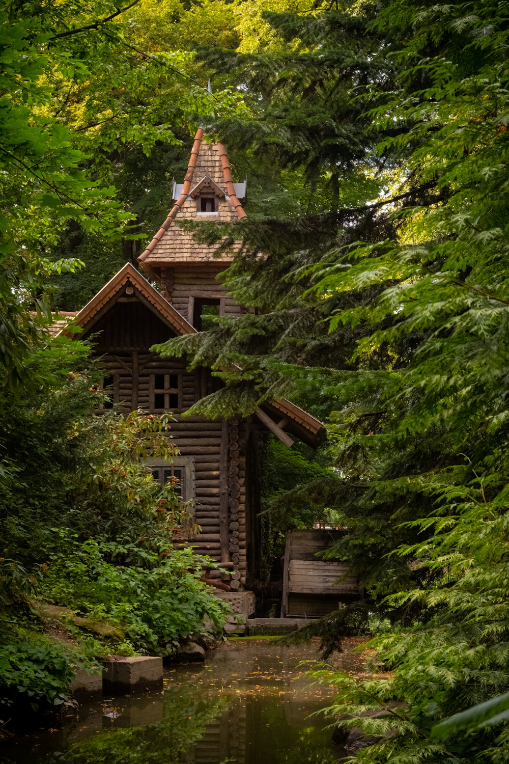 brown wooden house in the middle of forest