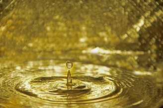 water drop on body of water