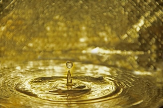 water drop on body of water