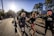 A diverse group of runners enjoying a sunny day in a park, smiling and chatting as they prepare for their run.