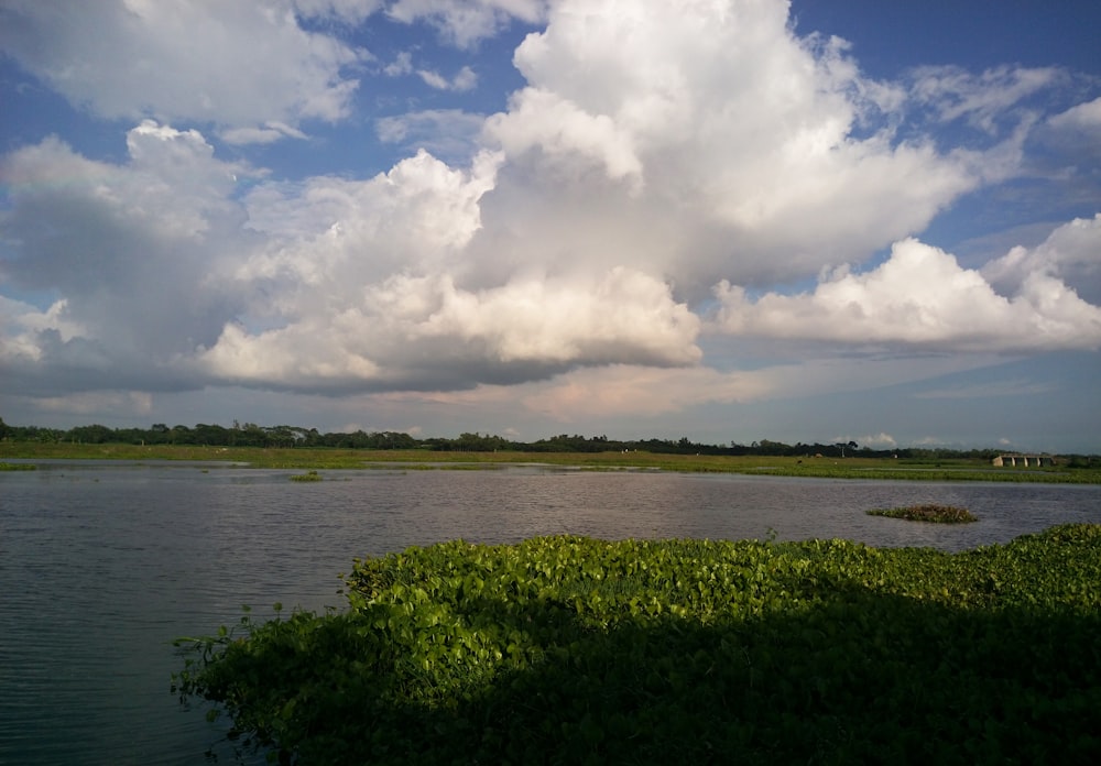 green grass field near body of water under white clouds and blue sky during daytime