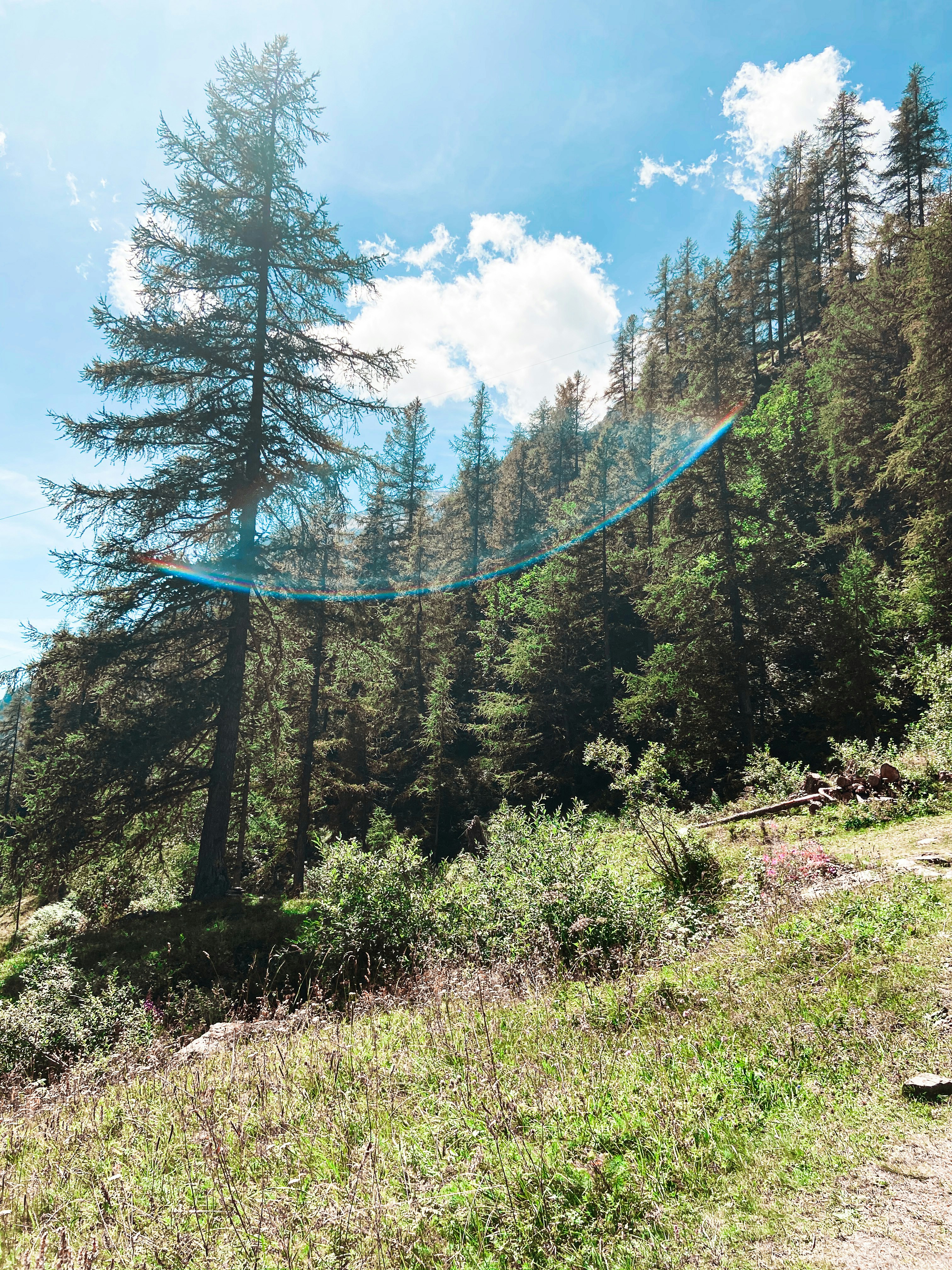 Photo by francescamariadp