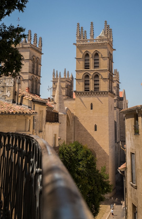 brown concrete building during daytime in Montpellier Cathedral France