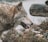 A wolf is seen in a natural setting with a side profile view, showcasing its thick fur and alert expression. The background consists of overgrown vegetation and a large log, indicating a wild, outdoor environment.