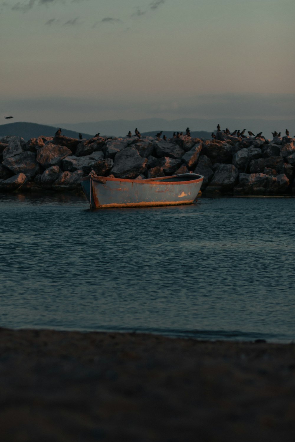 Bateau brun sur le bord de la mer pendant la journée