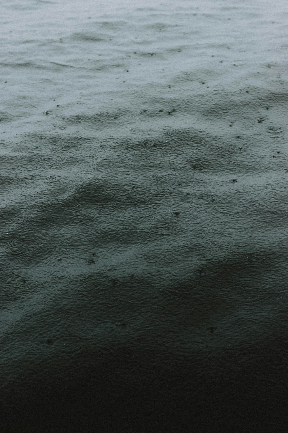 white snow covered field during daytime