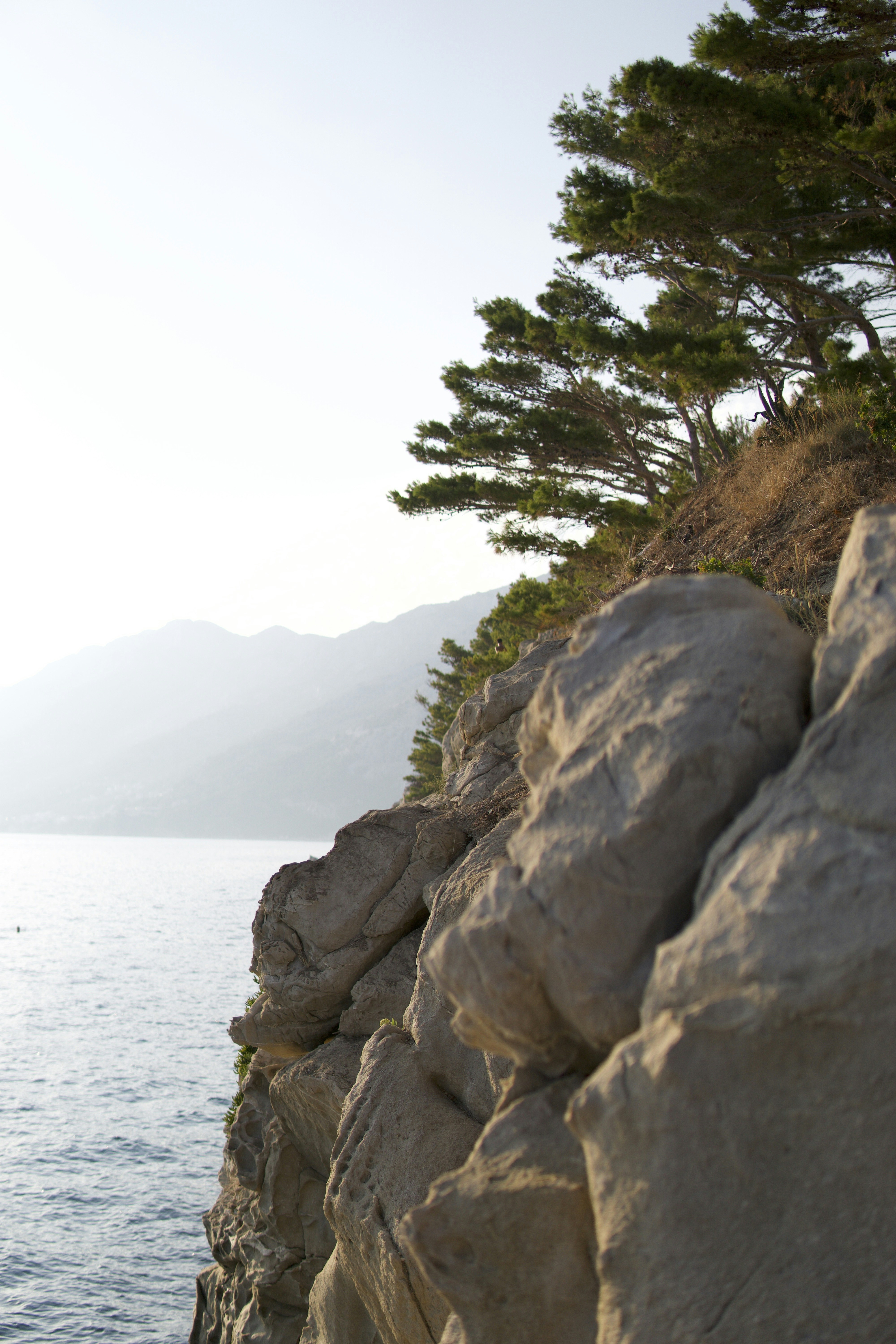 Photo by dmytronazarko