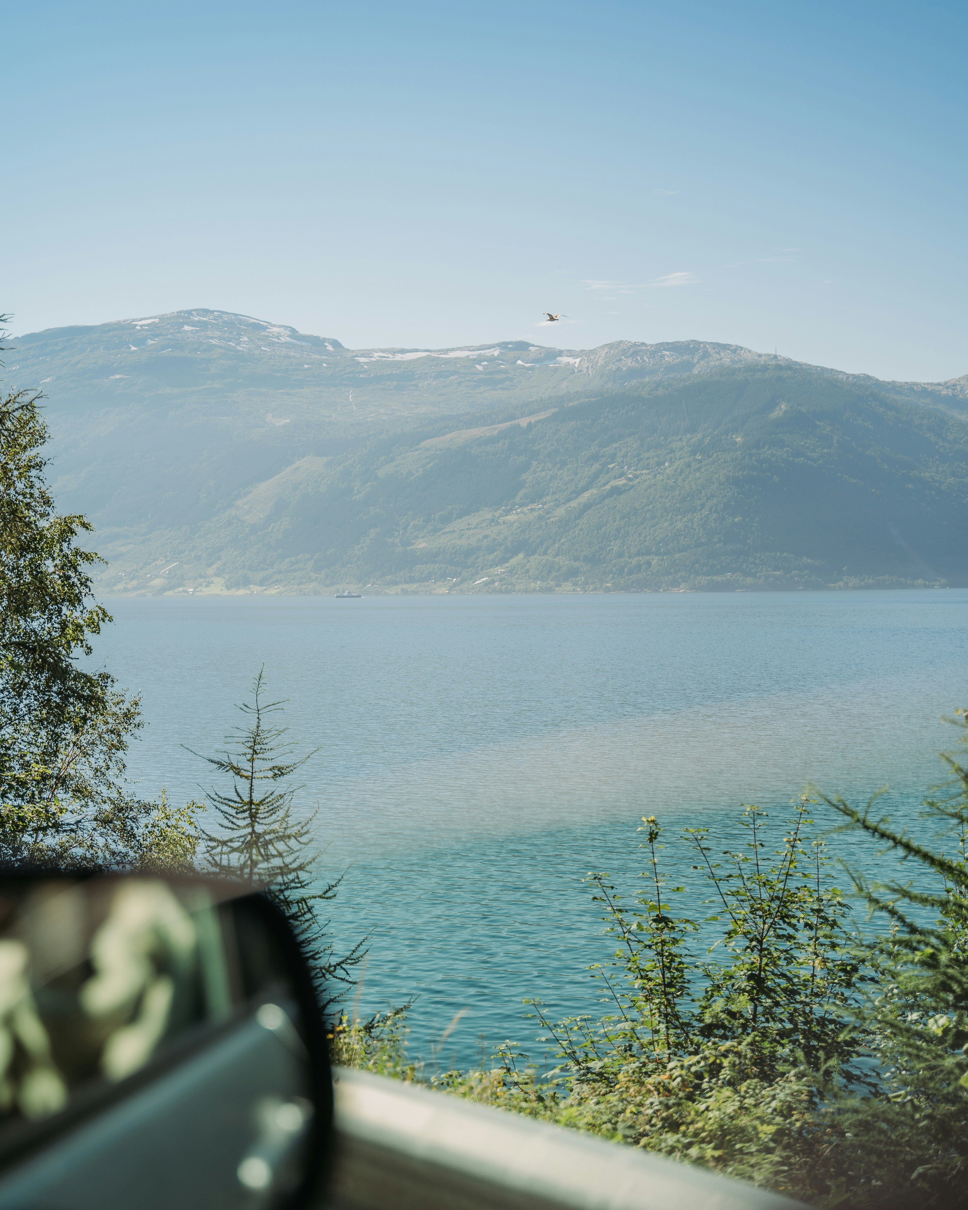 alberi verdi vicino al lago e alle montagne durante il giorno
