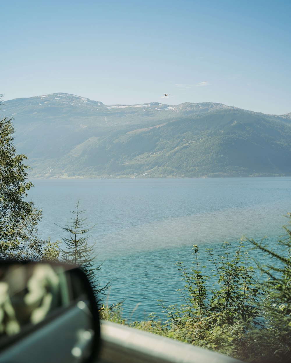 green trees near lake and mountains during daytime