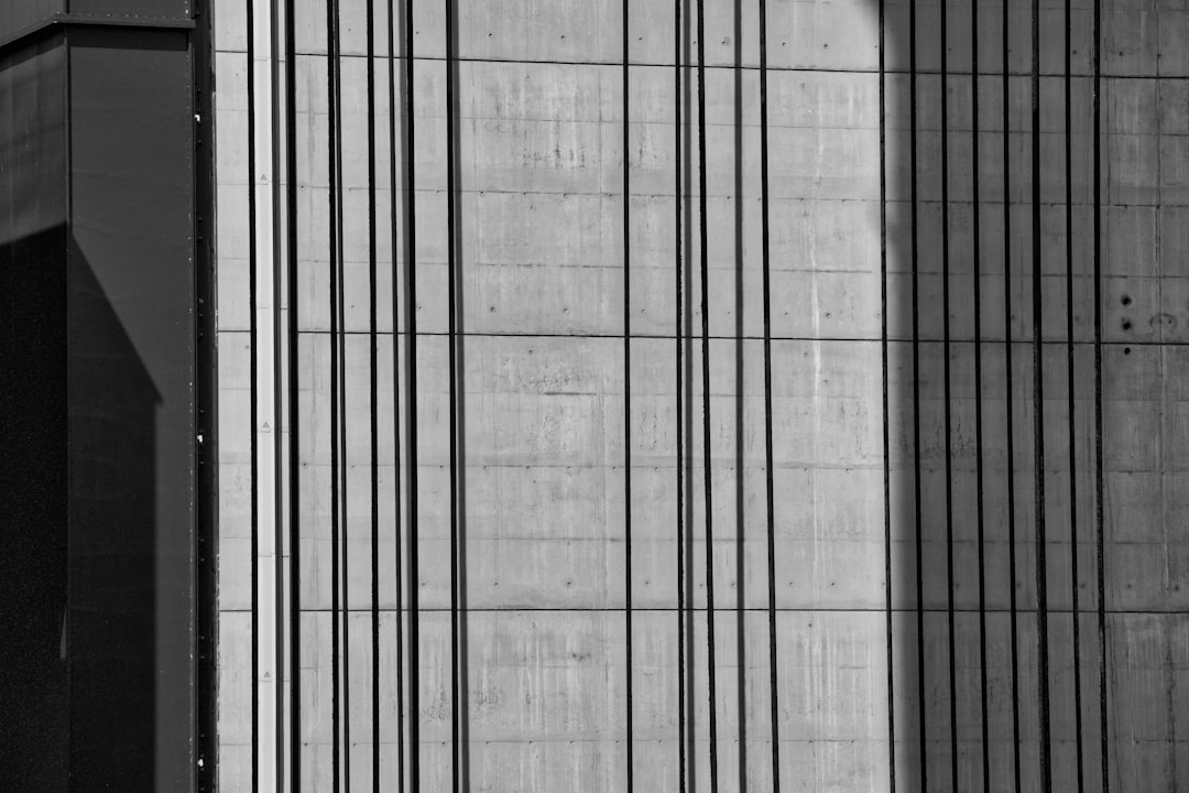 black and white striped textile,