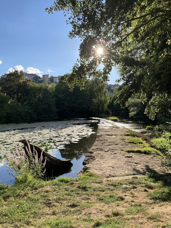 Rodez Weather: Best Seasons & Months to Visit
