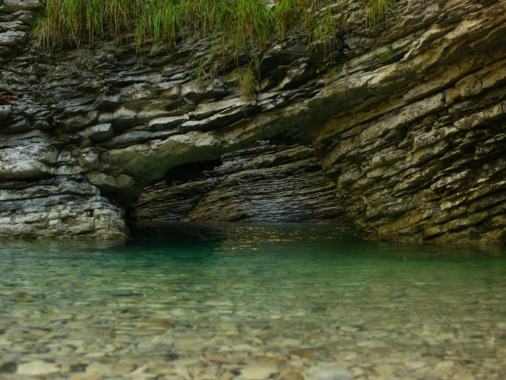 green moss on brown rock formation beside body of water during daytime