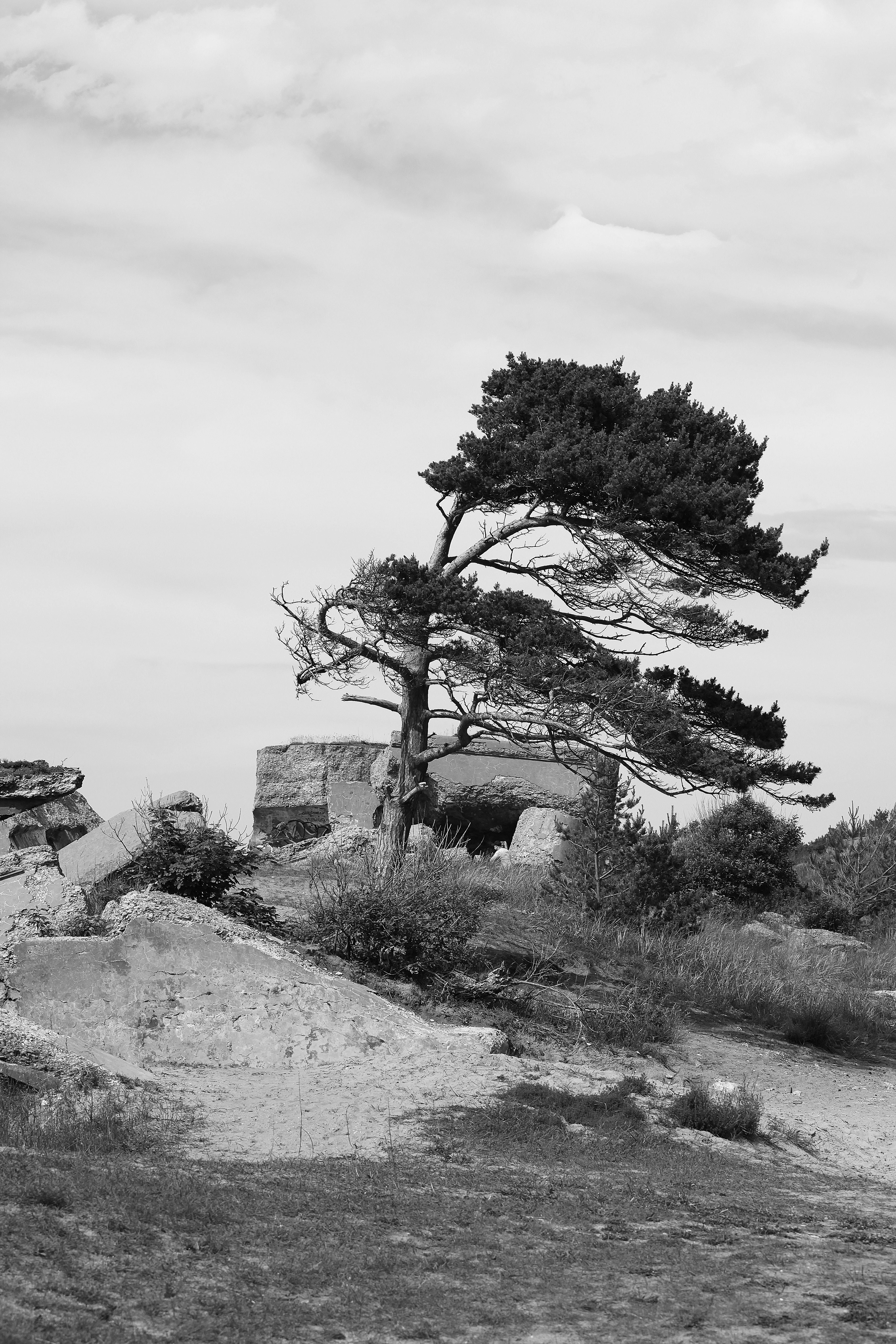 Photo by straume_foto