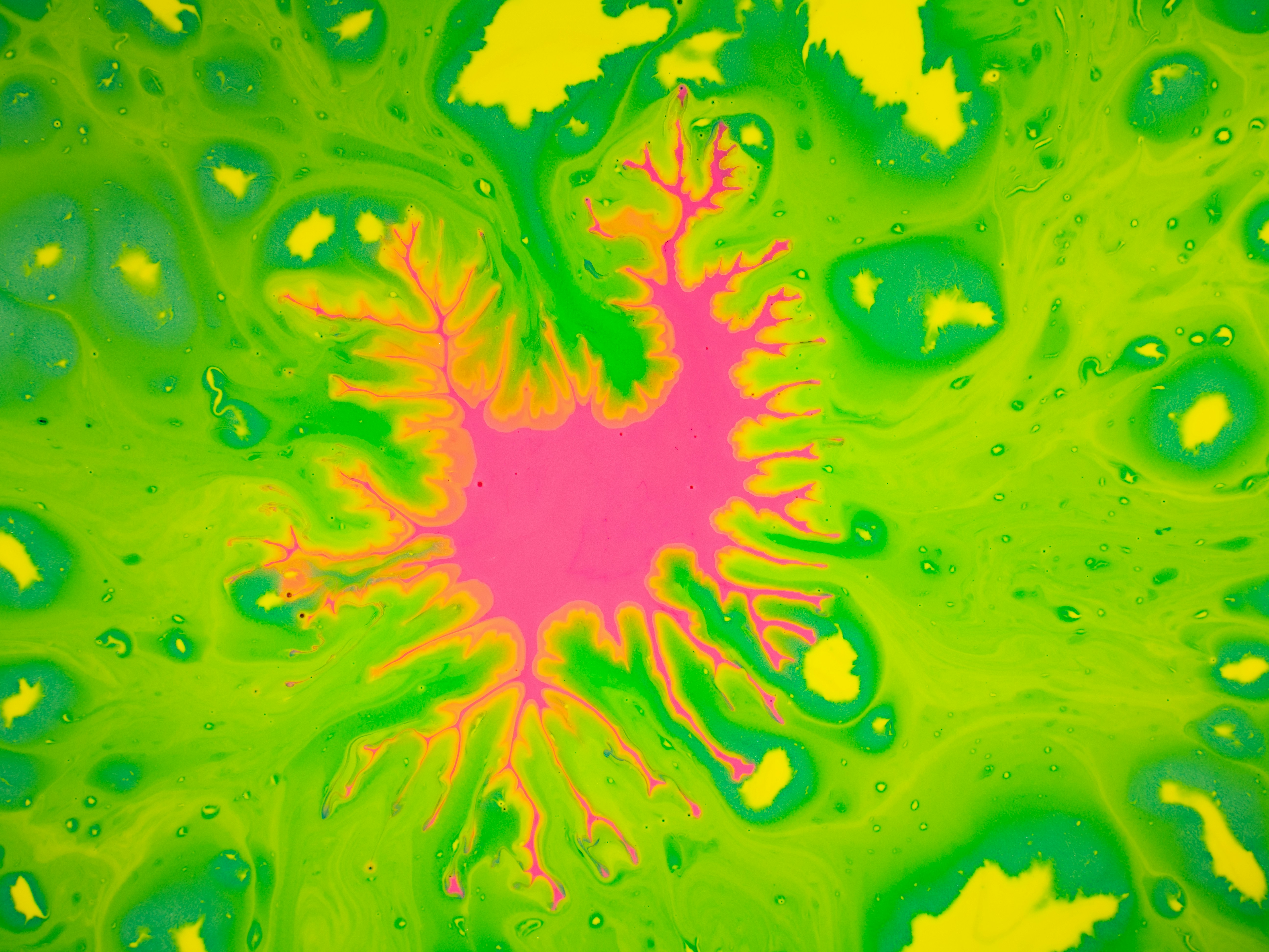 Disease X Outbreak is Imminent, Warns WHO Director, Sparking Controversy and Concern post image