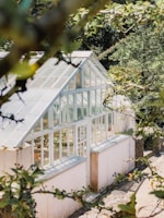 A greenhouse with large glass windows and white frames is surrounded by lush green foliage. The light filters through the glass, illuminating the plants inside. The scene is framed by leaves and branches, adding to the natural ambiance.